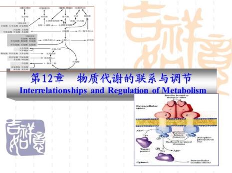 生化物质是什么