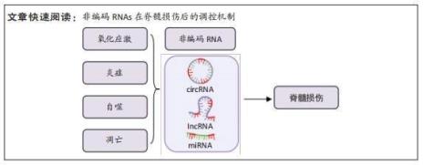 orcid对有含金量吗