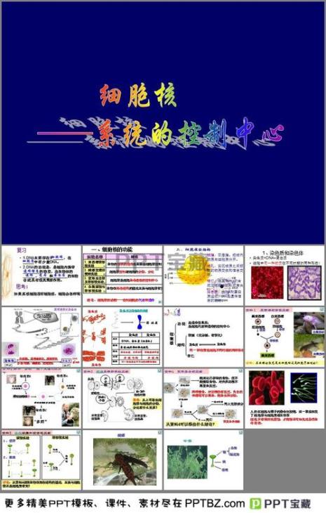 细胞核是什么的控制中心