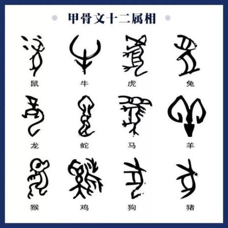 猫字的象形字