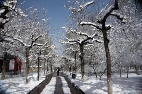 北京一年下雪多少天