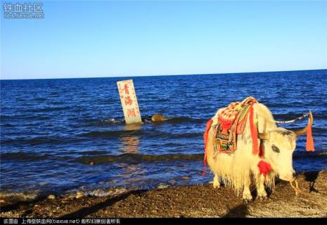 青海湖和大海哪个大