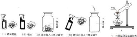 为什么碳酸不稳定