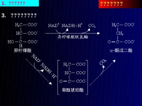 三羧酸循环哪两步是脱羧的