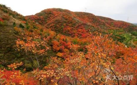 五彩浅山门票