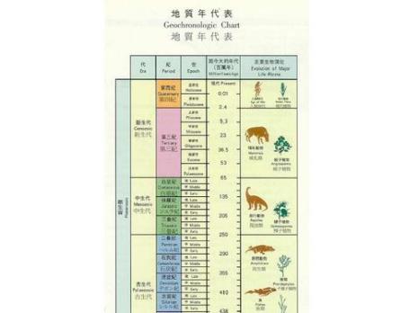 远古生物进化的特点