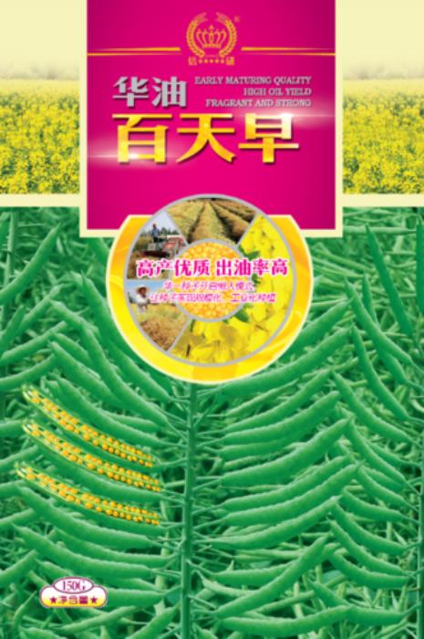 华油999油菜种子介绍