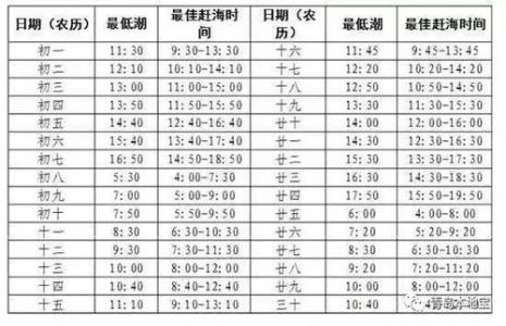 青岛今日潮汐