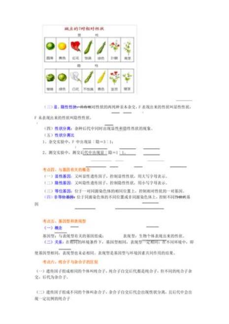 遗传学传宗接代的意义