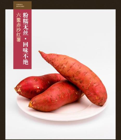 红蜜薯什么品种