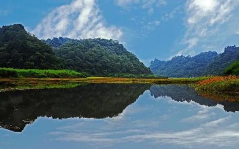 雅安碧峰属于哪个县