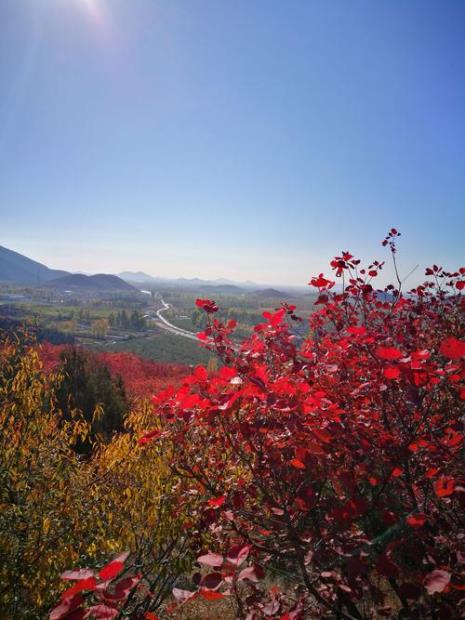 五彩浅山诗词