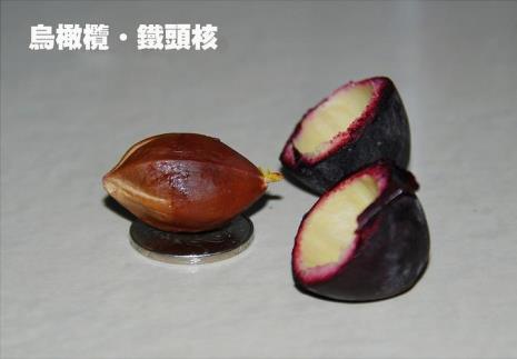 黑橄榄做菜的做法大全