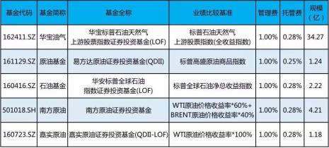 华宝油气是什么类型的基金