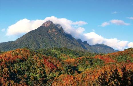 七仙岭和尖峰岭哪个好