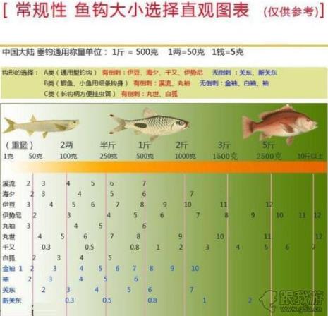 钓鱼子线长短表