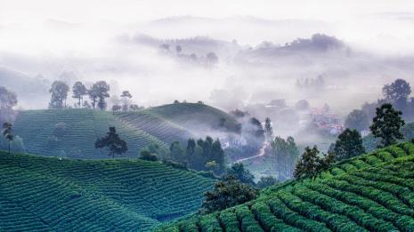 信阳哪里茶山最好