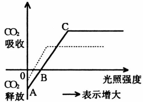 光补偿点与光饱和点移动的区别