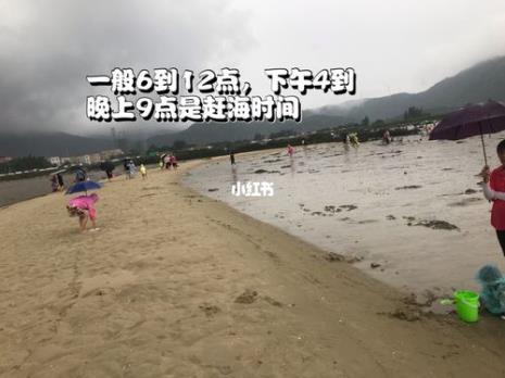 海陵岛赶海退潮时间