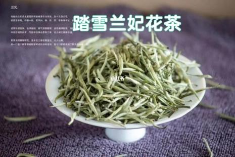 踏雪蓝菲茶叶属于什么茶