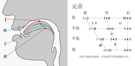 主要元音又称什么