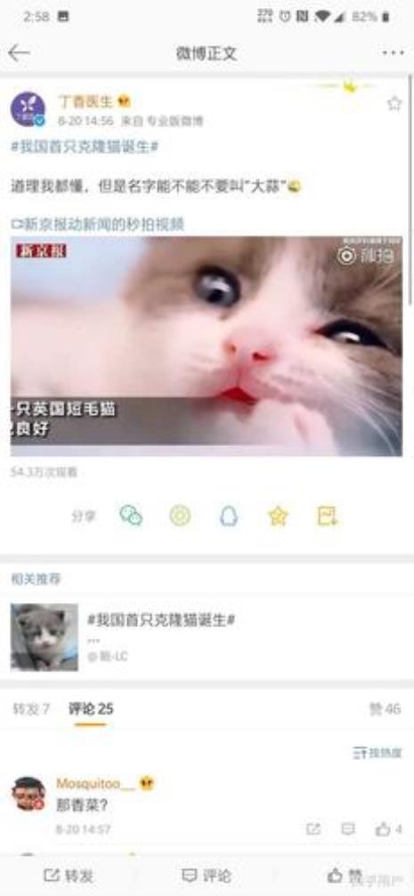 有什么app是买猫可靠的软件