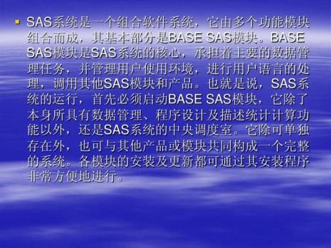 sas程序员是做什么的