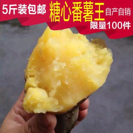 白皮红心红薯是什么品种