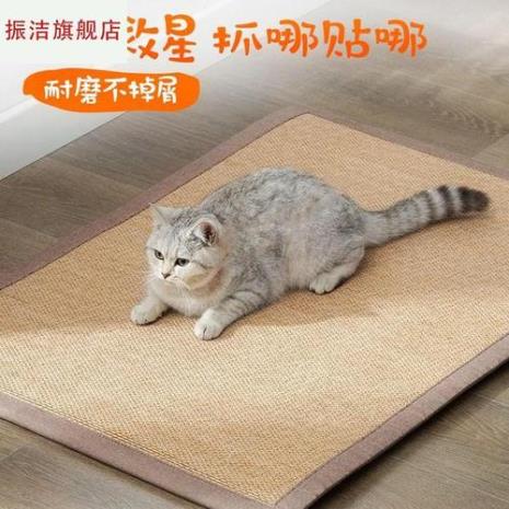 什么东西可以代替猫垫