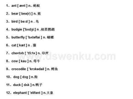 di开头的表示双的意思的英文单词