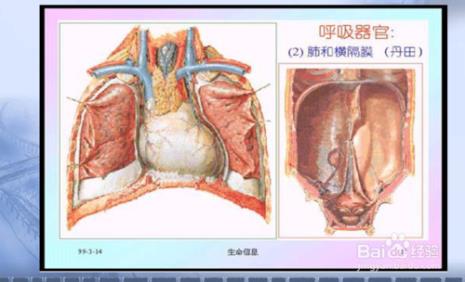 高音怎么胸腔共鸣