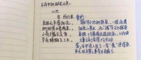 小池的赏析50字