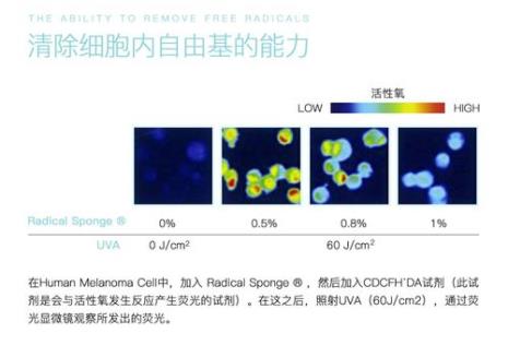 降低火焰自由基浓度方式叫什么