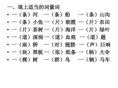 两什么小辫子填量词