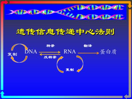 生物遗传加法法则