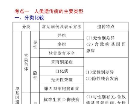 人类分类是什么意思