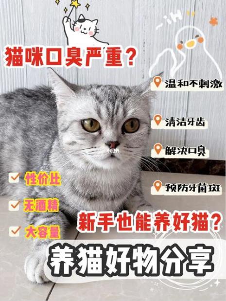 猫咪口气臭怎么去除