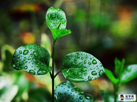 形容雨凉的成语