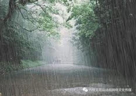 雨思念故乡诗词