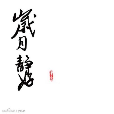 岁月什么什么成语