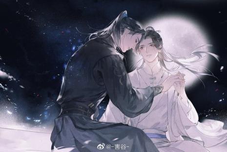 二哈和他的白猫师尊第几章完结