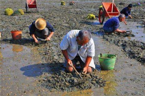 中国十大赶海排名