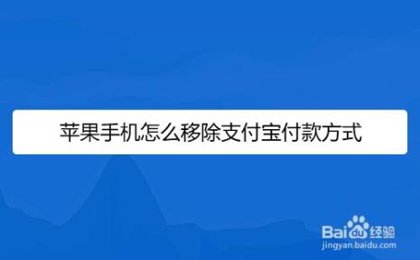 支付宝苹果官网怎么分期12个月