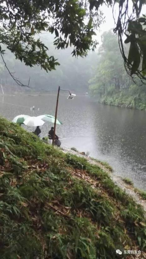 头天下雨第二天适合钓鱼吗