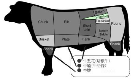 牛排位置分布图