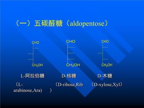 六碳糖有什么