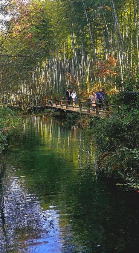 怎么去常州溧阳南山竹海