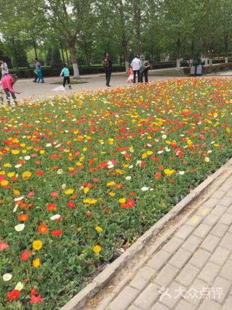 保定植物园什么时候最好看