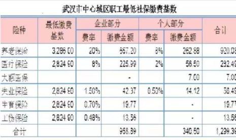 灵活就业人员社保编号是什么