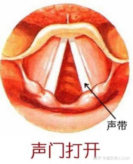 关闭唱法声带到底是什么感觉